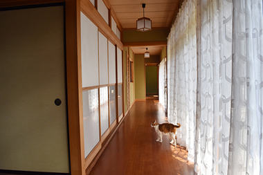 長い廊下に面した和室は寝室や客間として使用。窓の外には庭園があり、裏の竹林では竹の子も収穫できる。